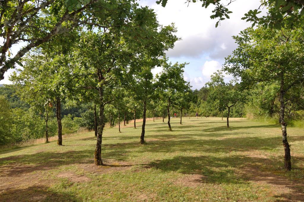 Domaine De La Greze Labastide-Murat Exterior photo